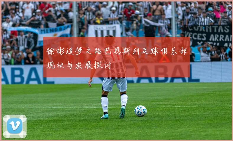 徐彬追梦之路巴恩斯利足球俱乐部现状与发展探讨